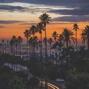 Meet your Posher, Margie